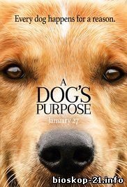 Jadwal Film Trailer A Dog's Purpose (2017)